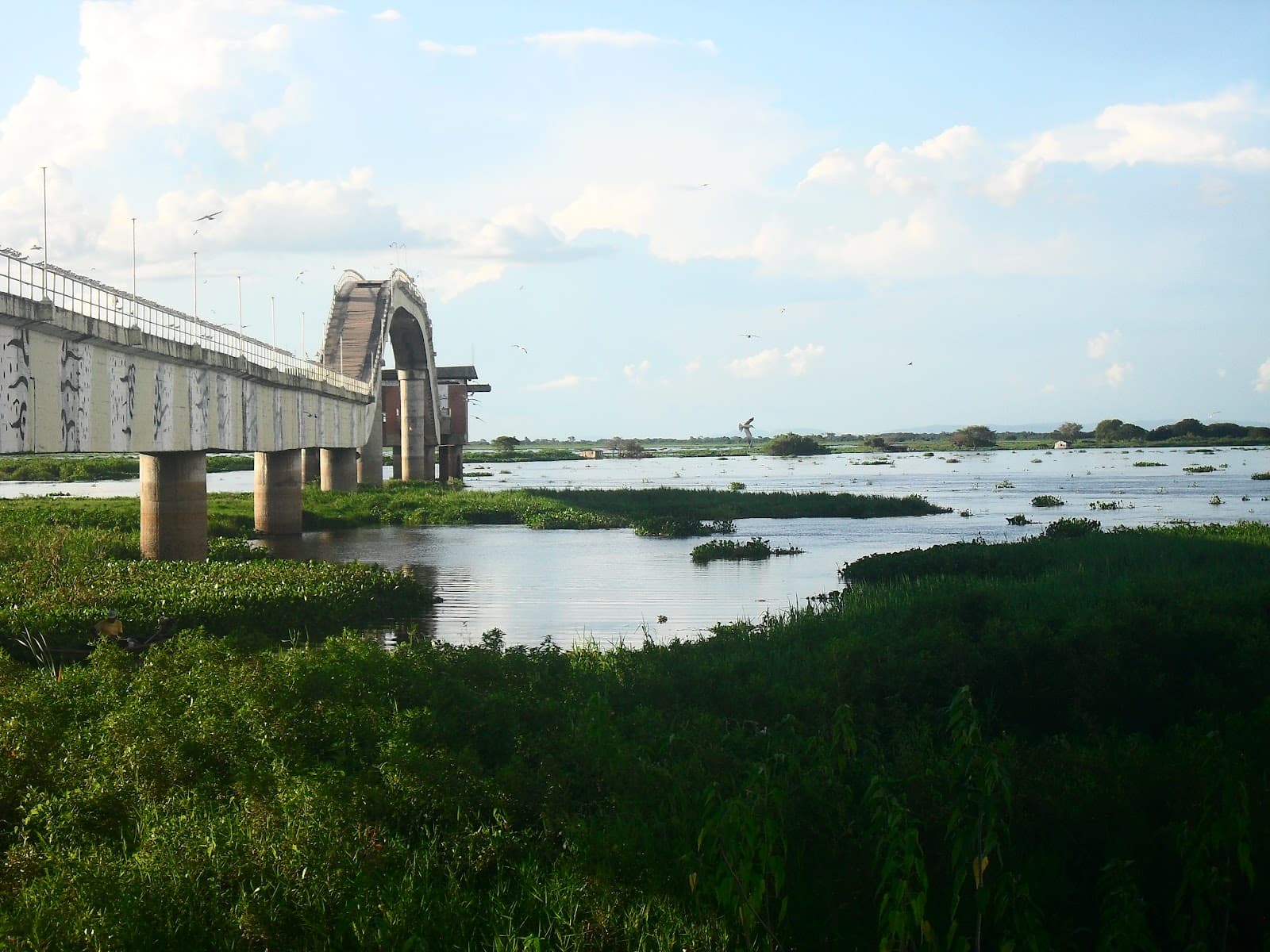 Puerto Suárez (Bolivia) - Image 1