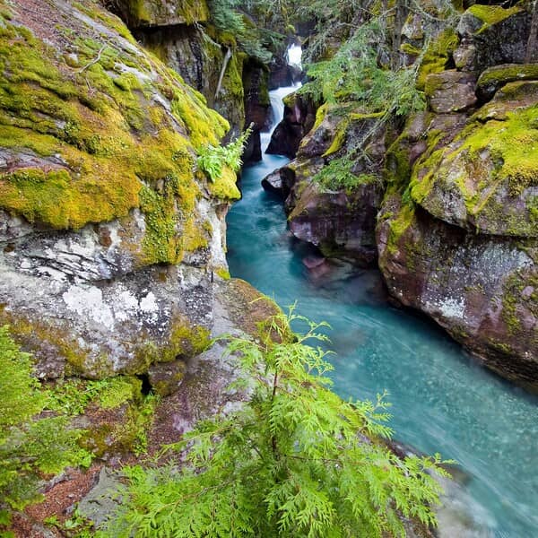 Avalanche Creek Gorge