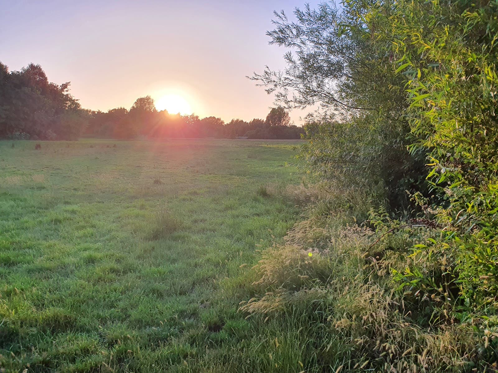 River Biss Riverside Walk - Image 1
