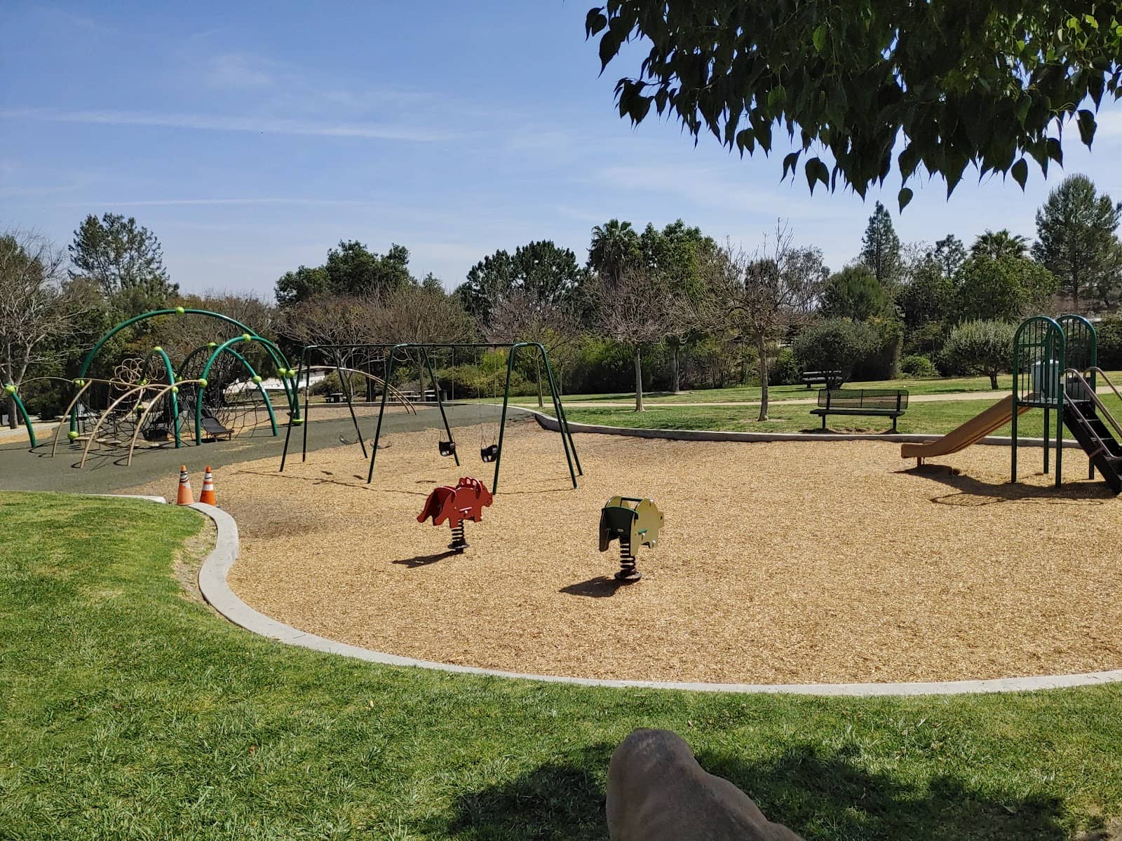 Expansive Green Spaces