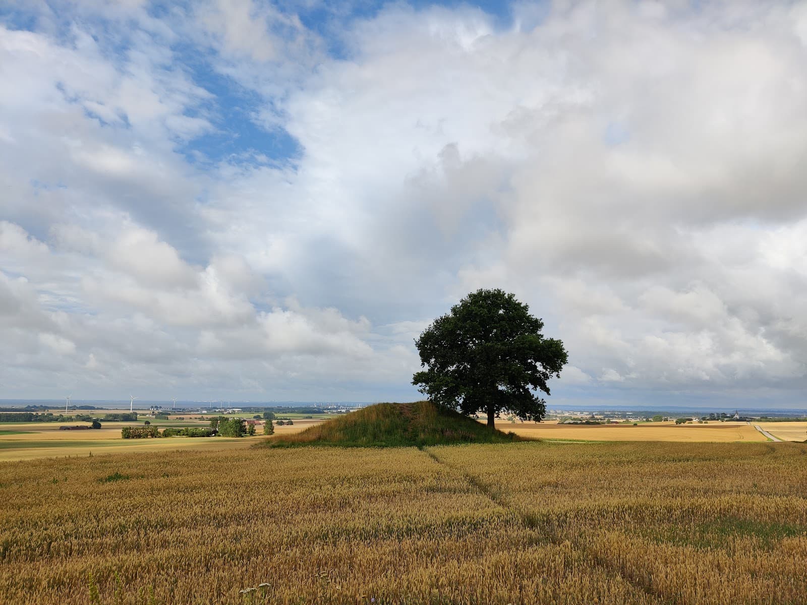 Rönneberga Backar Viewpoint - Image 1