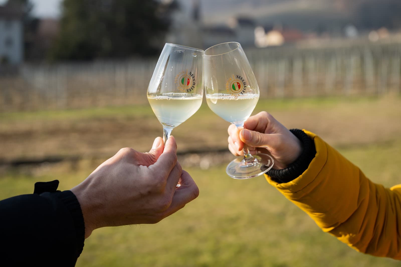 Neuchâtel Wine Trail - Image 1