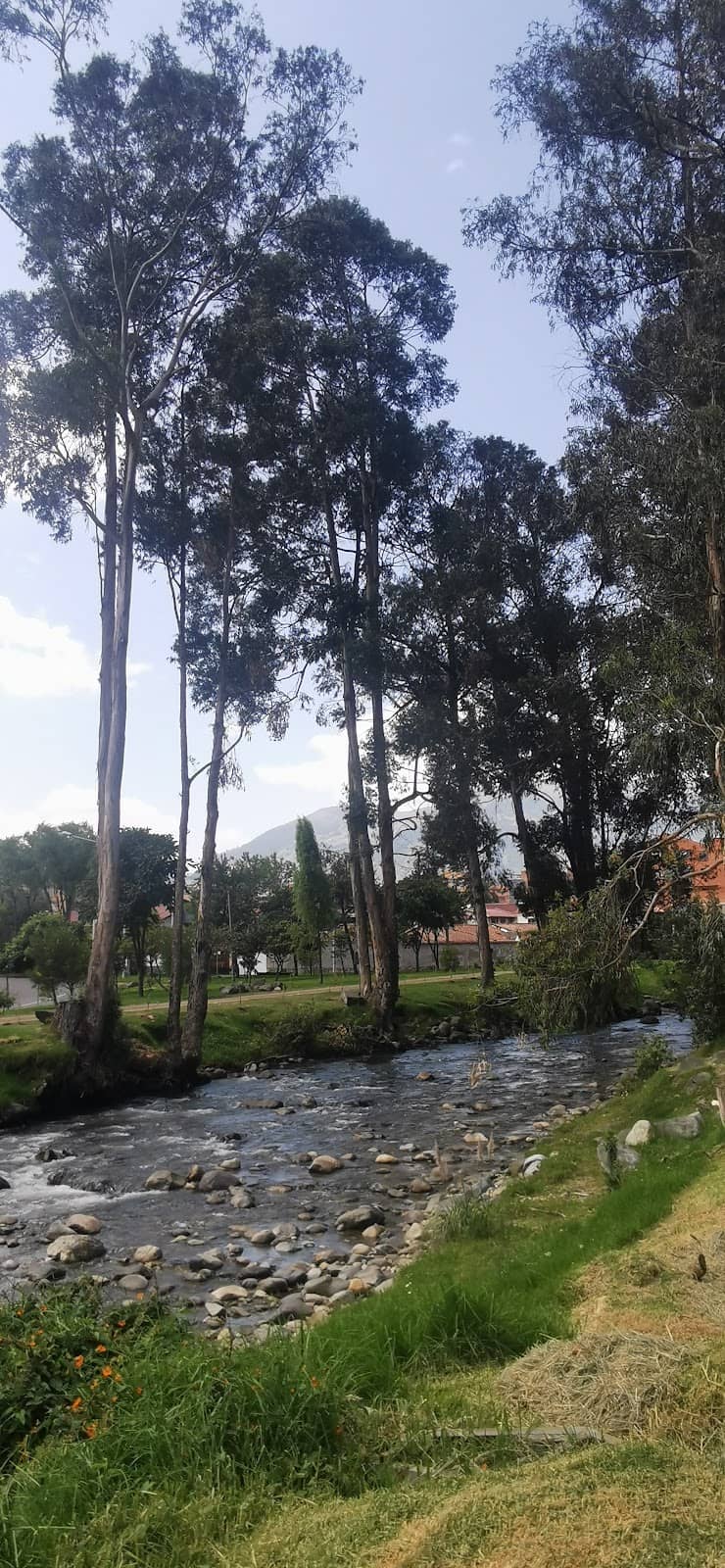 Pandou Artisan Pastries