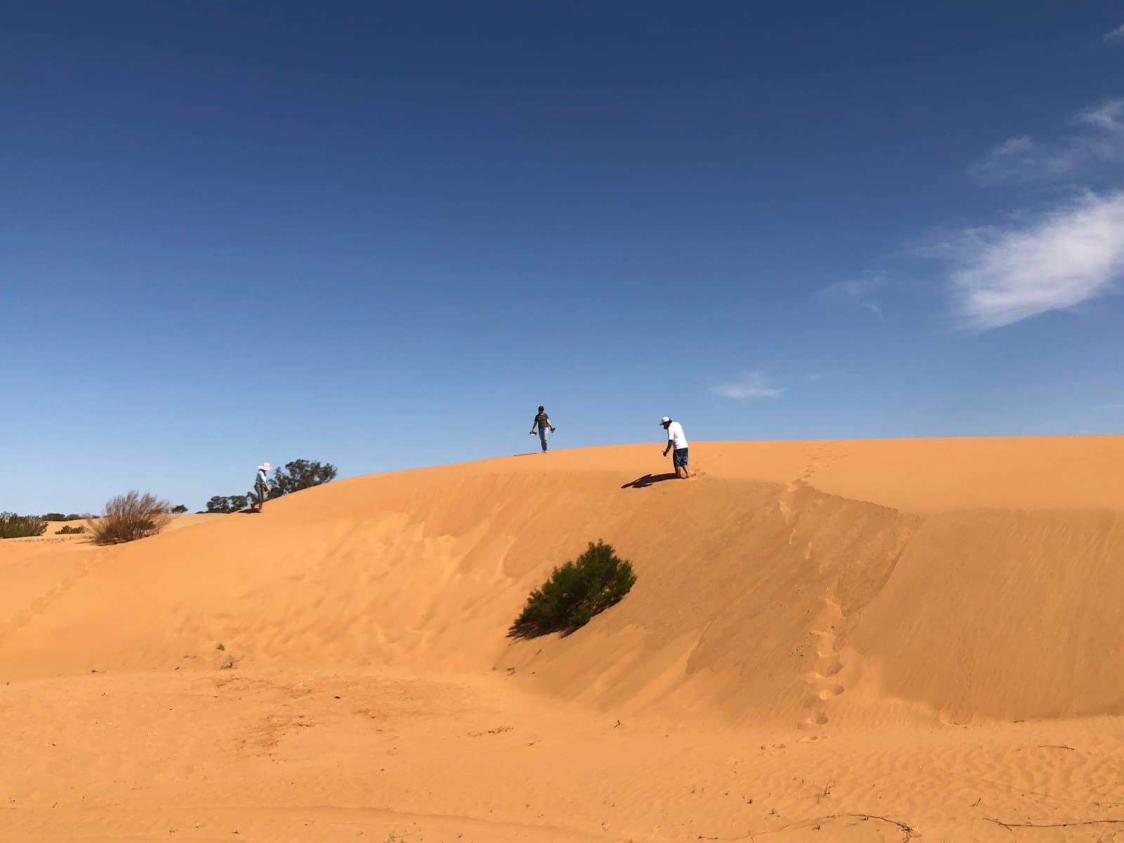 Perry Sandhills - Image 1