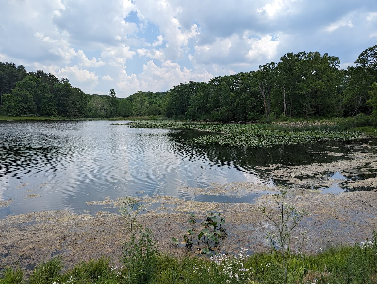 Kendall Lake - Image 1