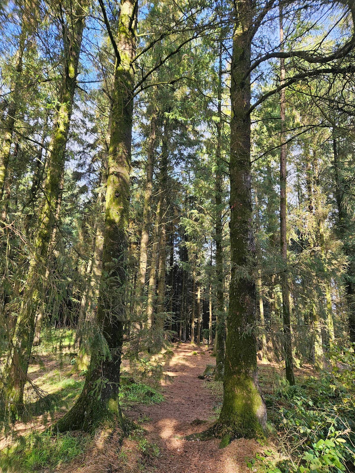 Vertical photo