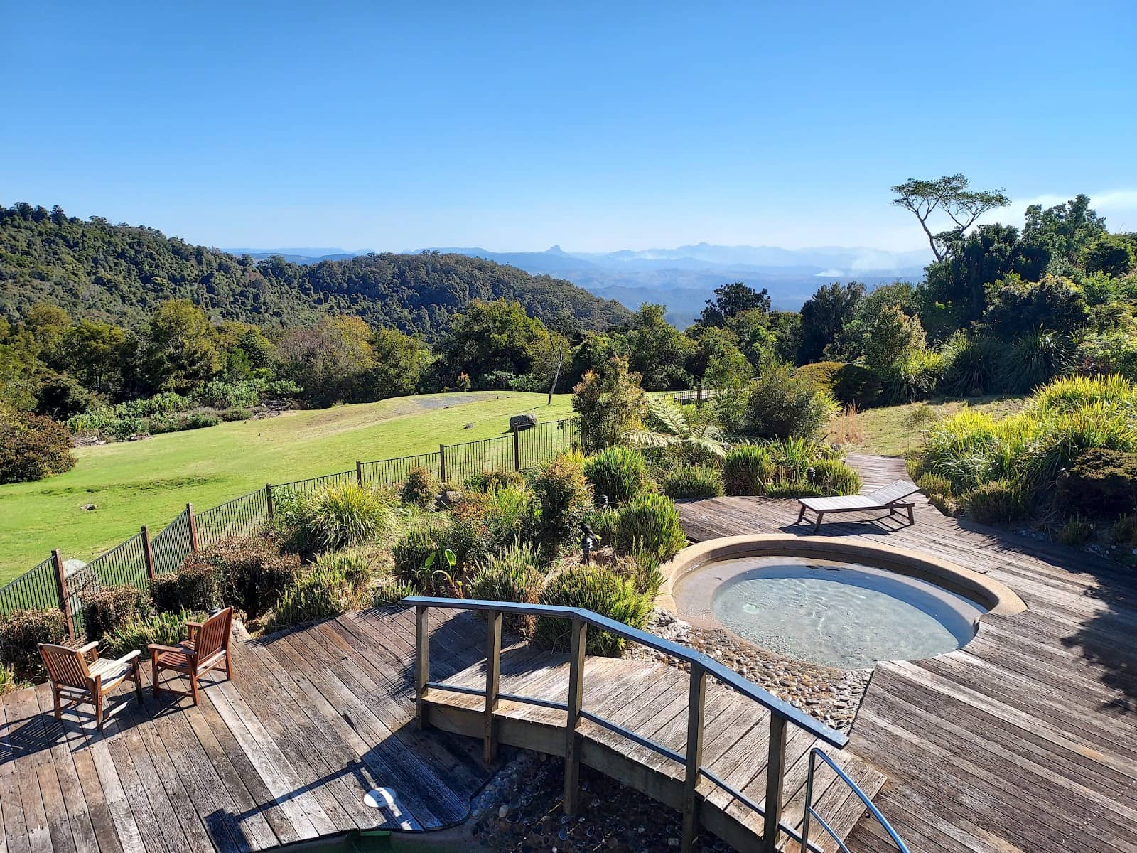 Bird Feeding Experience