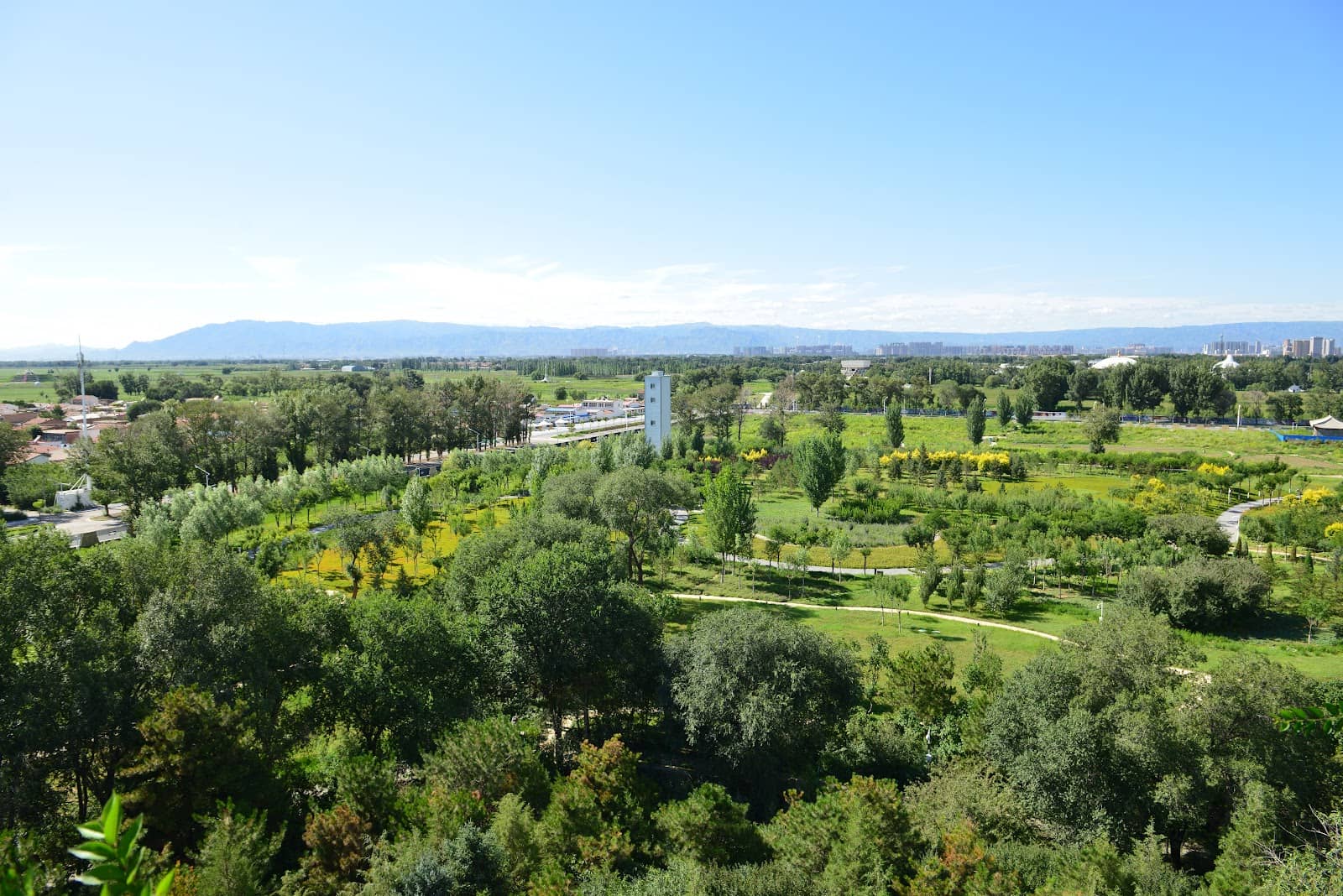 Local Markets and Cuisine