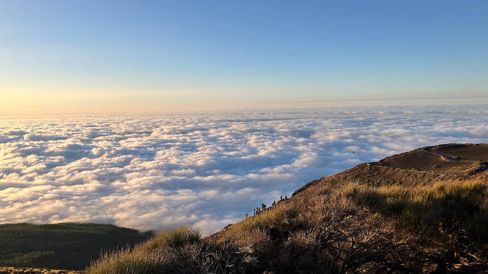 Astronomical Observatory Views