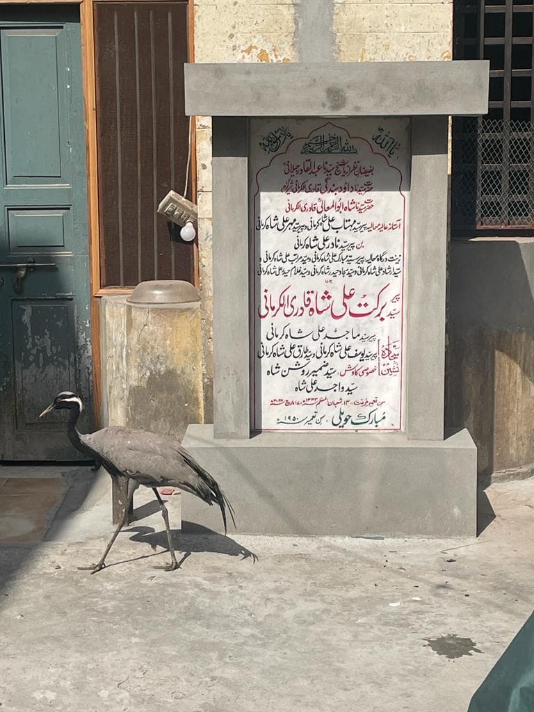 Mubarak Haveli - Image 1