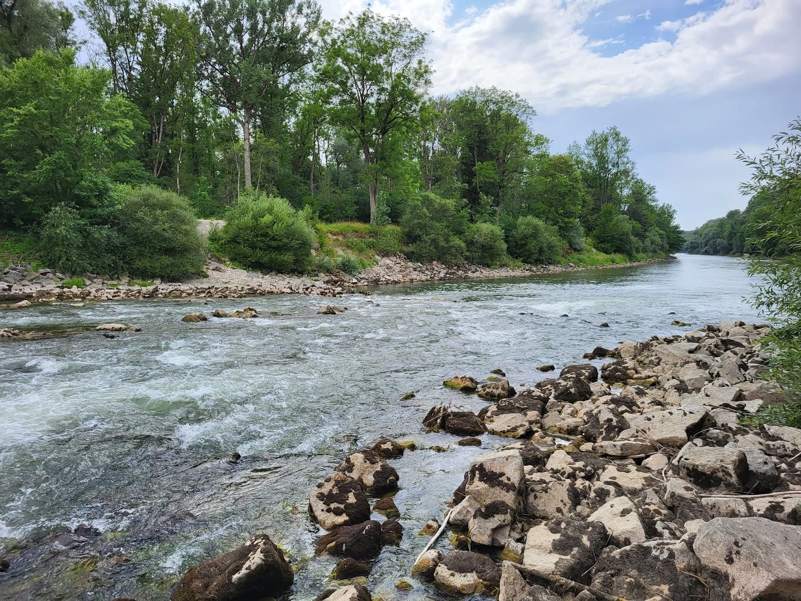 Illerauen Nature Reserve - Image 1
