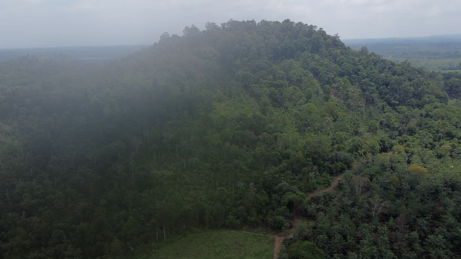 Bolaven Plateau - Image 1