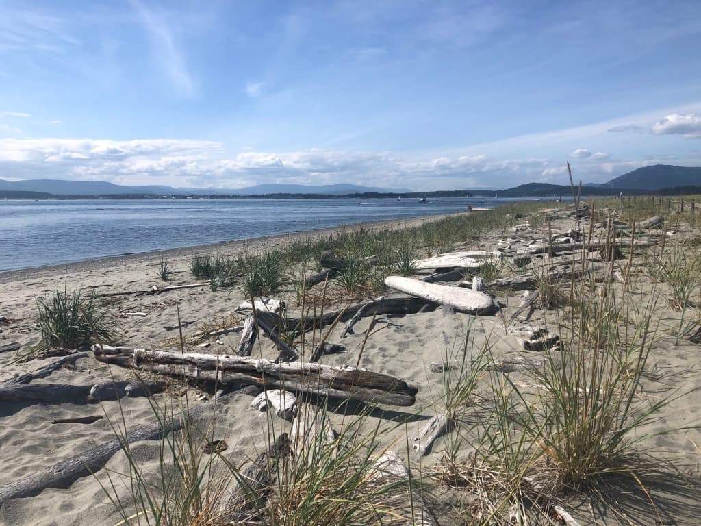 Sidney Spit British Columbia - Image 1