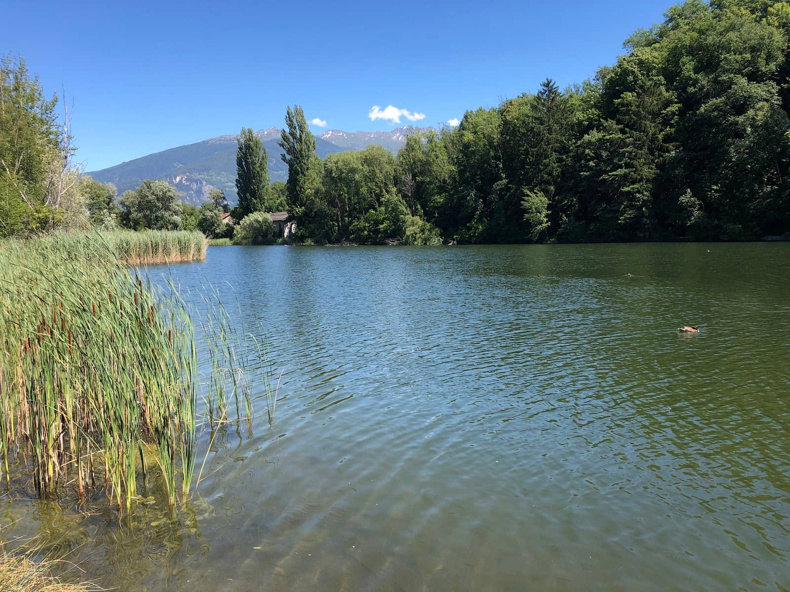 Nature Walk & Wildlife