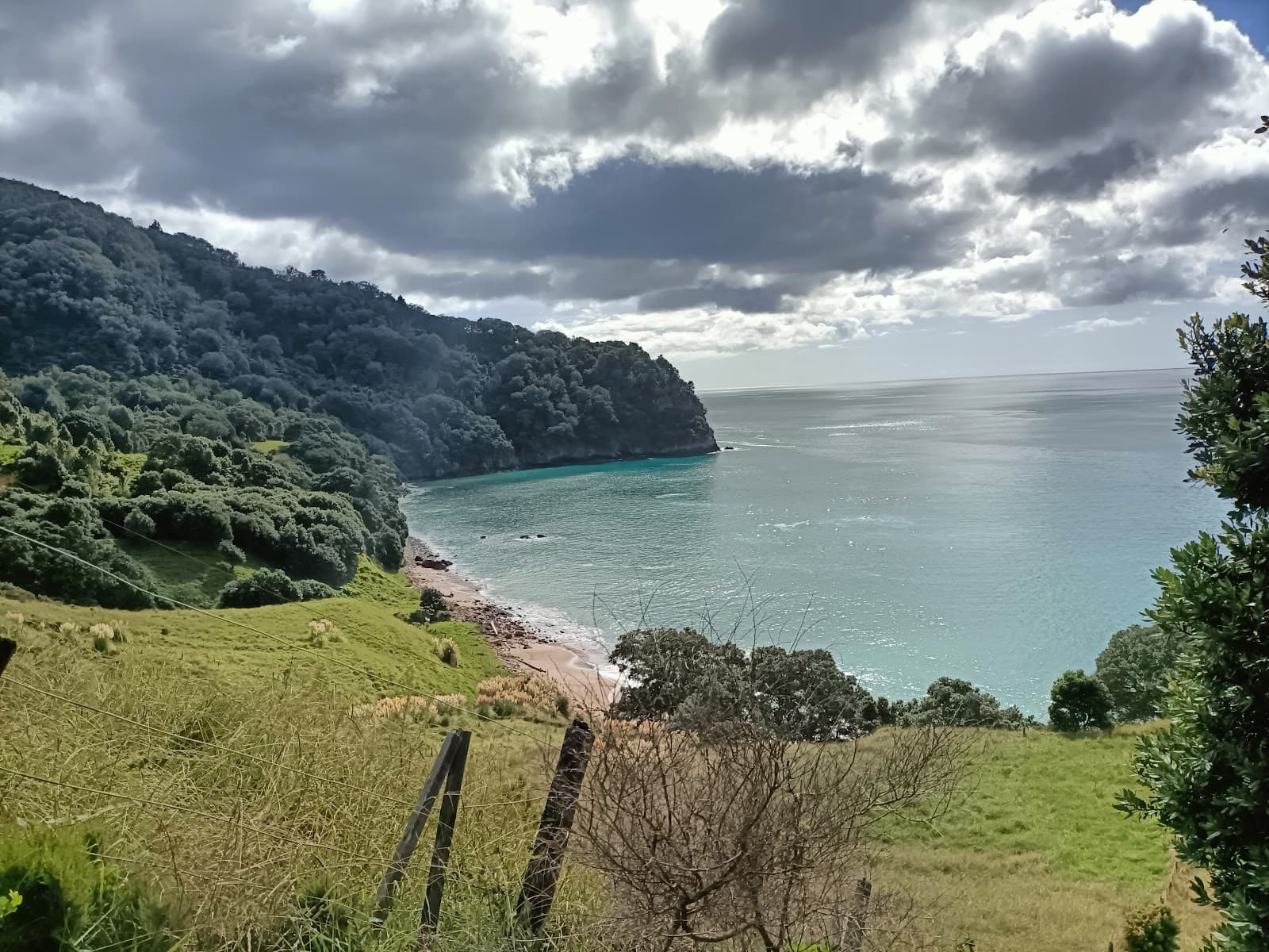 Orokawa Bay Track - Image 1