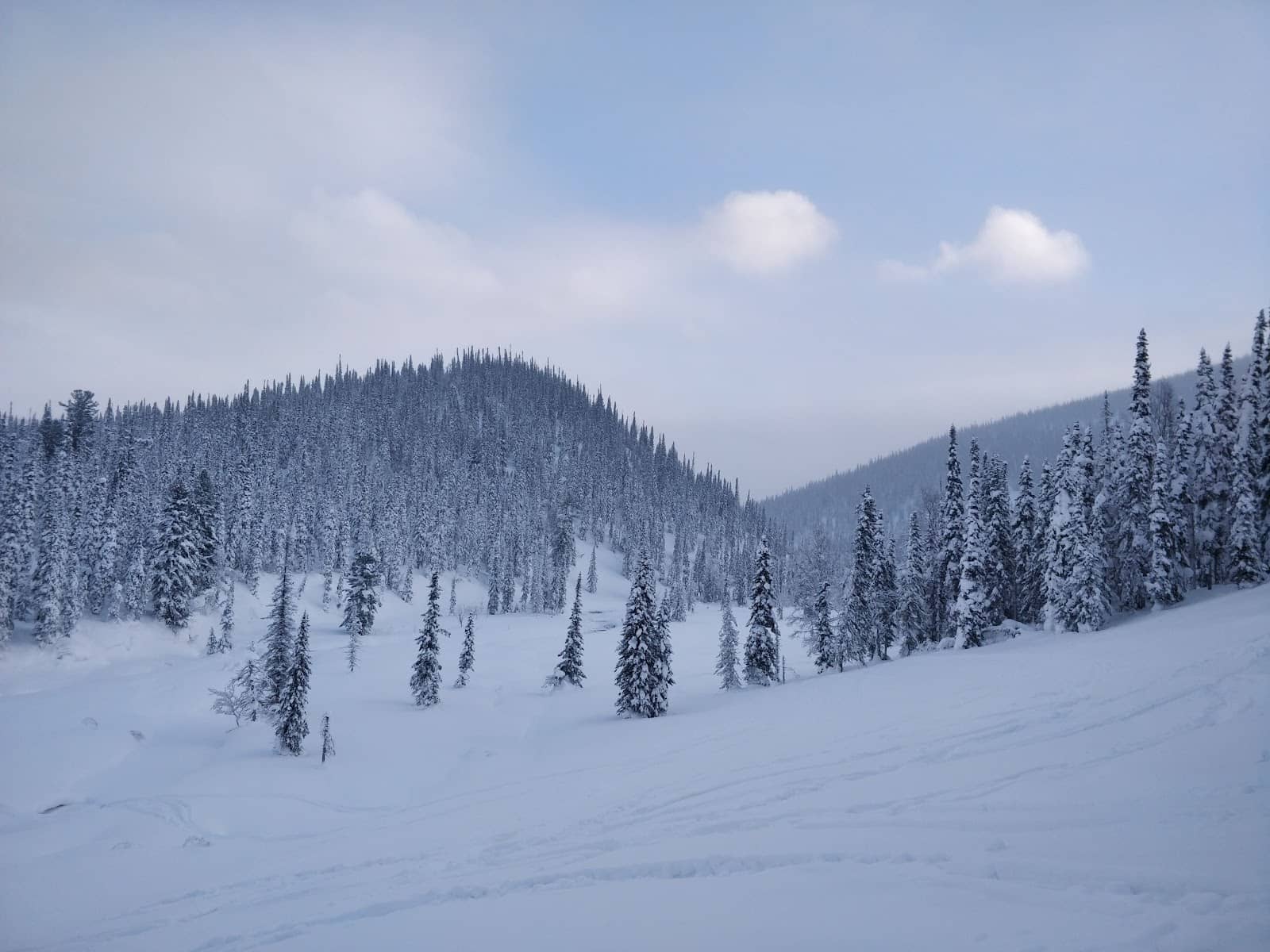 Year-Round Escape