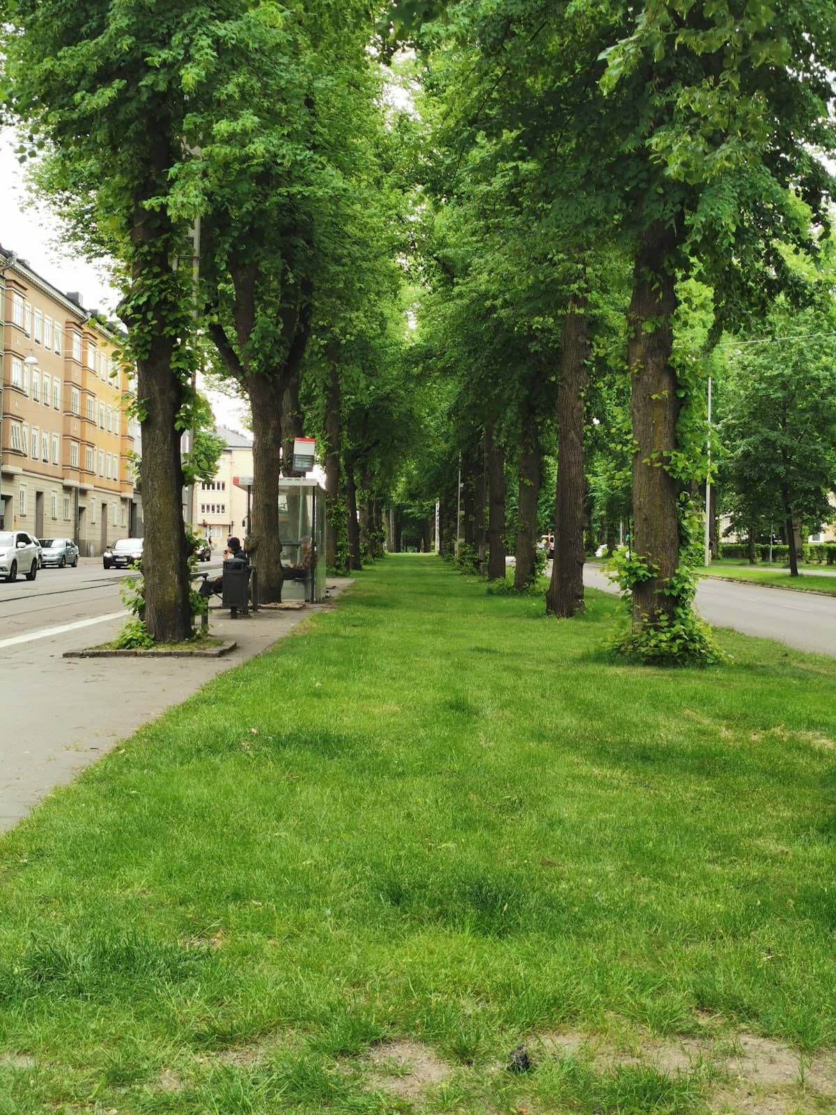 The Scenic Waterfront Promenade