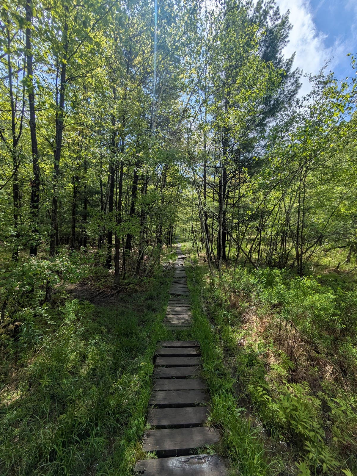 Binghamton University Nature Preserve - Image 1