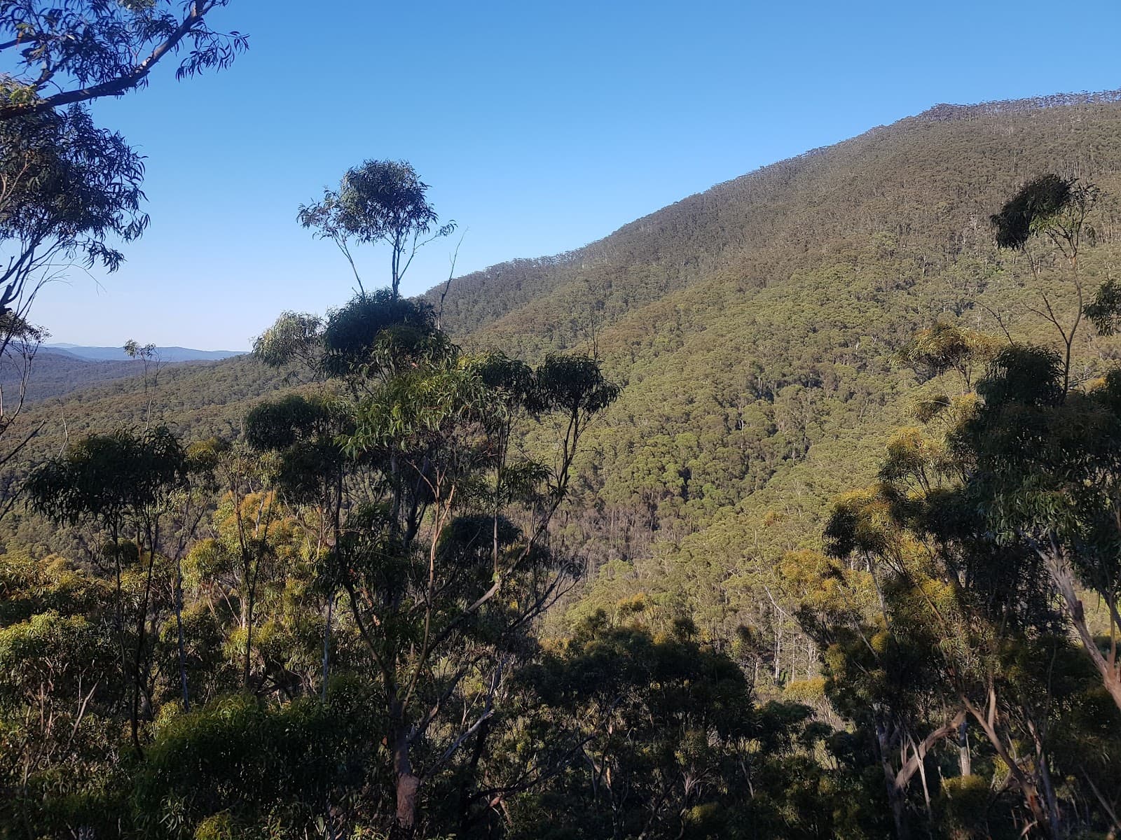 Mount Imlay National Park - Image 1