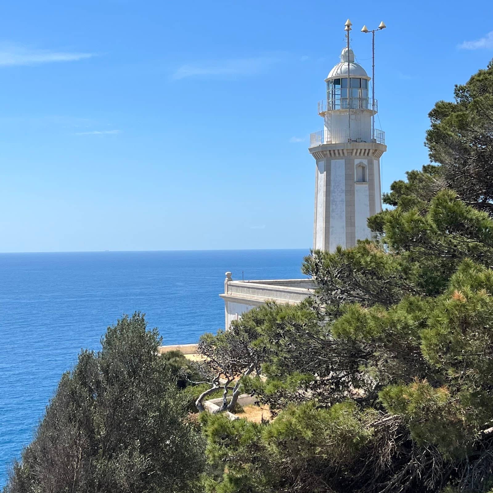 Scenic Walking Paths