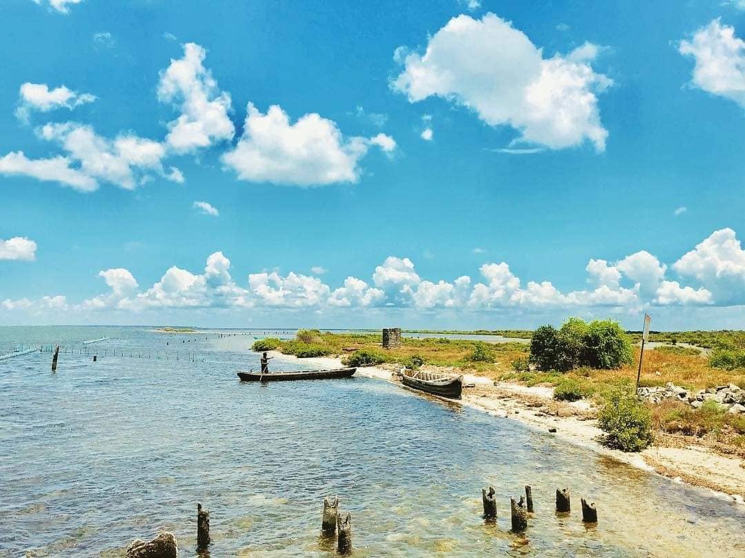 Jaffna Lagoon Oysters