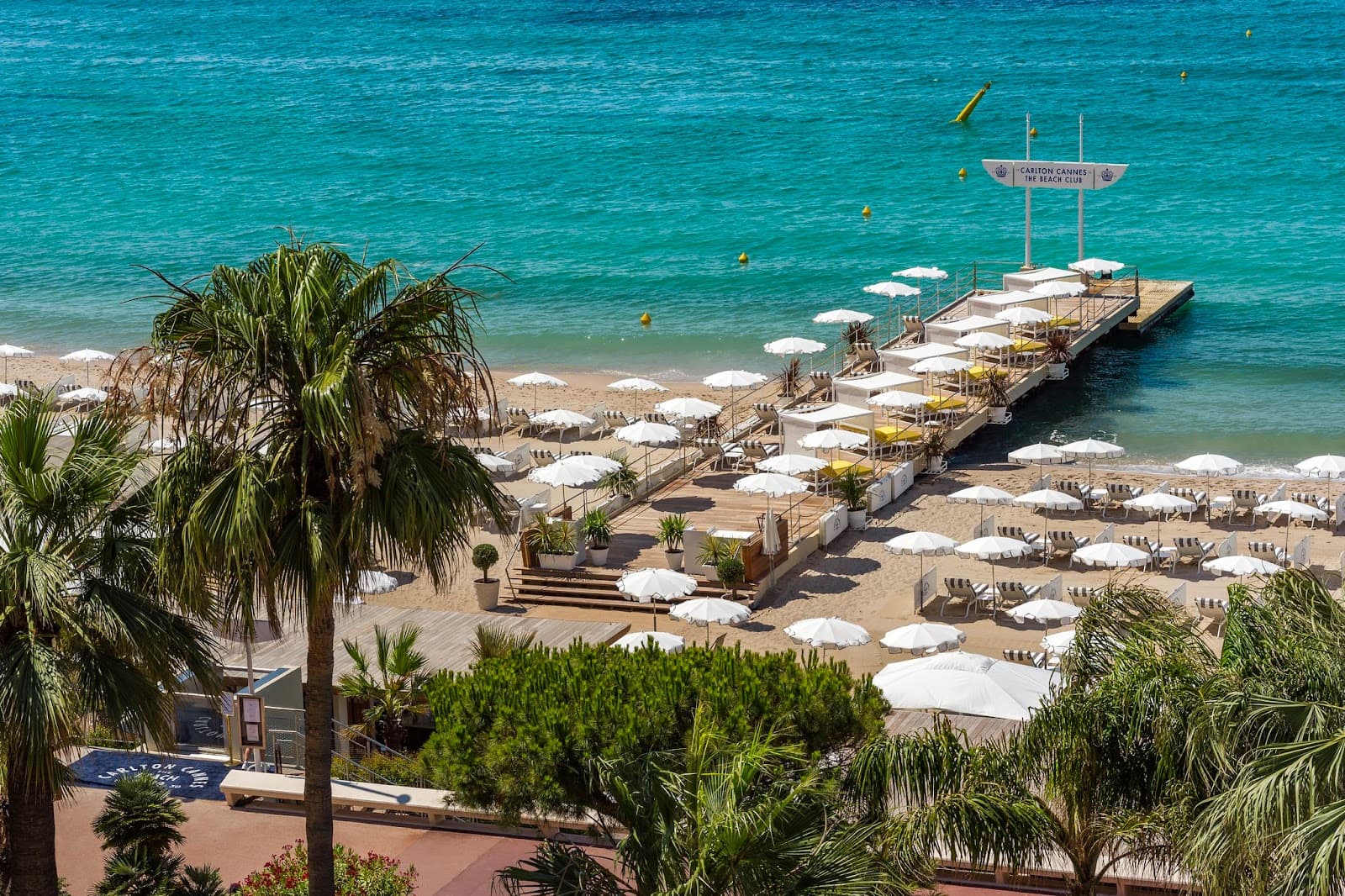 Carlton Cannes - Image 1