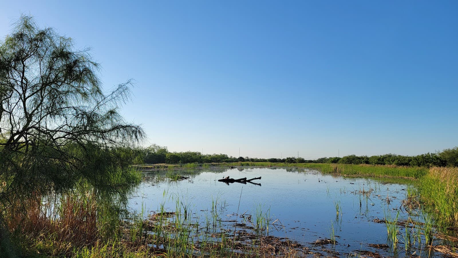 Estero Llano Grande State Park - Image 1