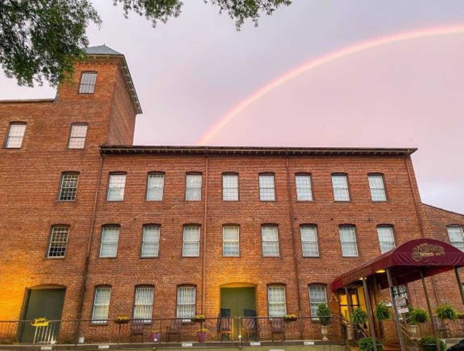 Evening Milk & Cookies