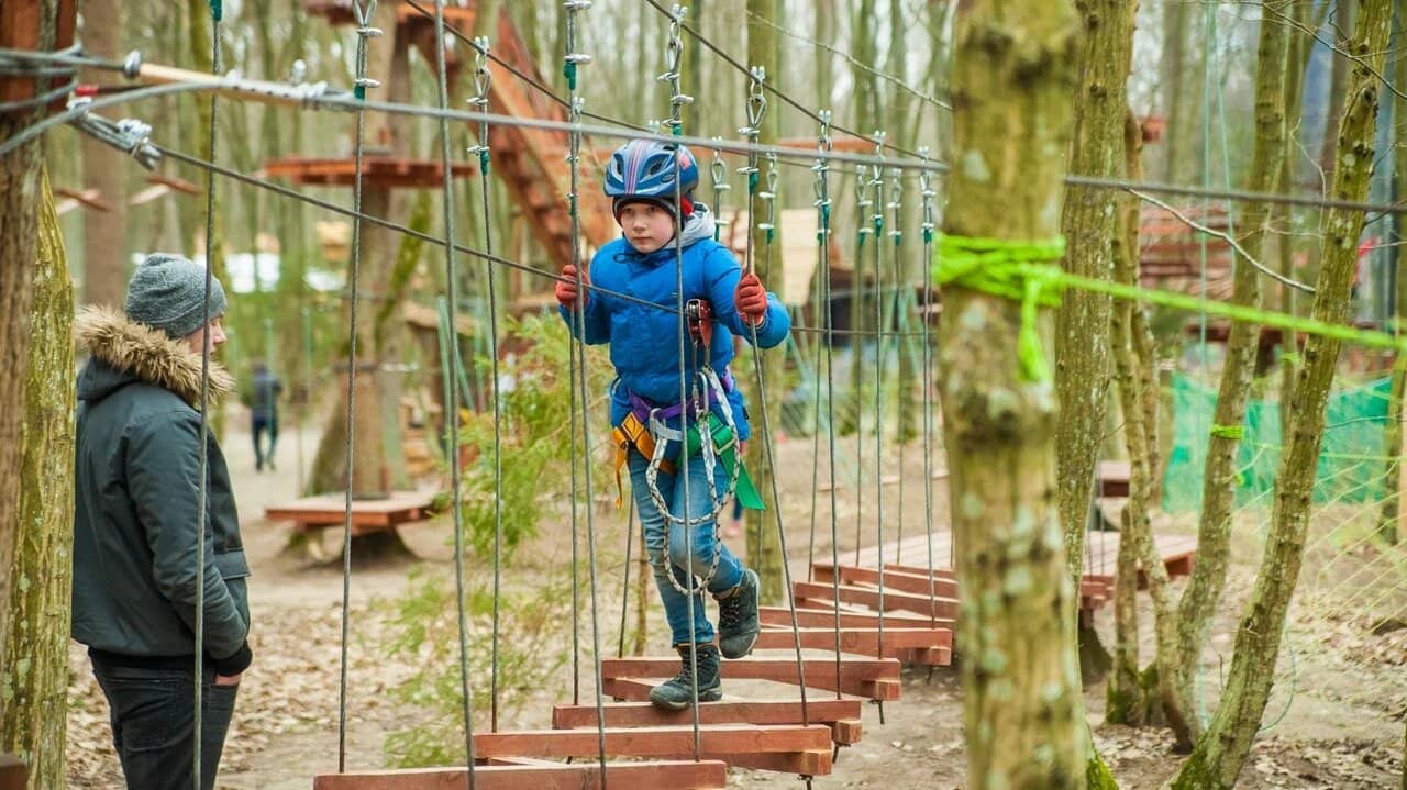 Mini Zoo & Animal Encounters