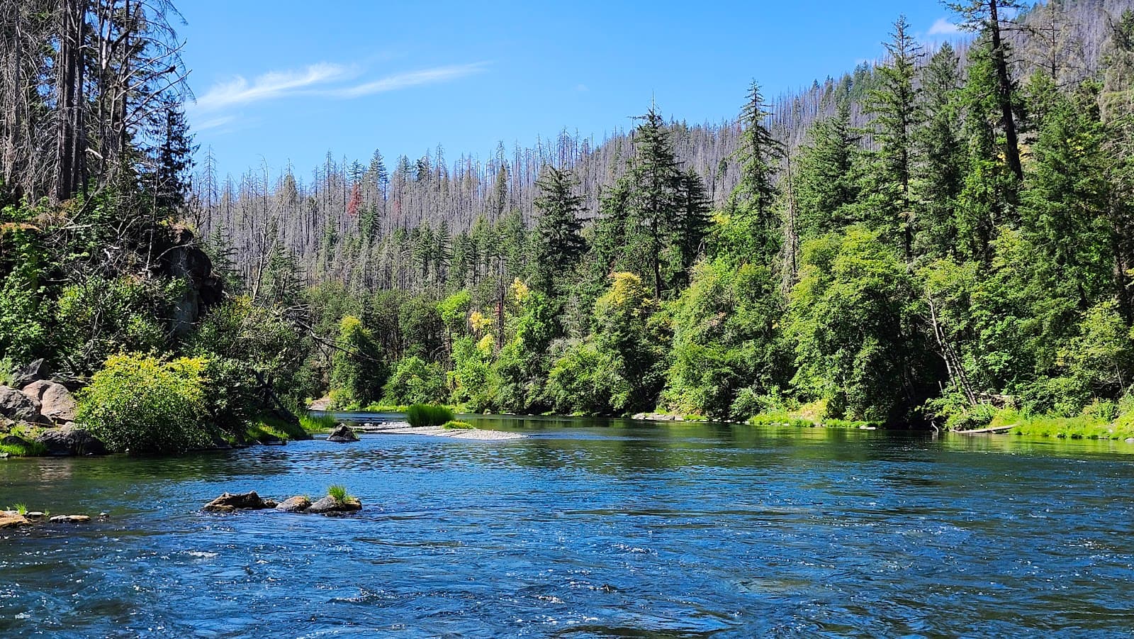 Umpqua River Scenic Byway - Image 1