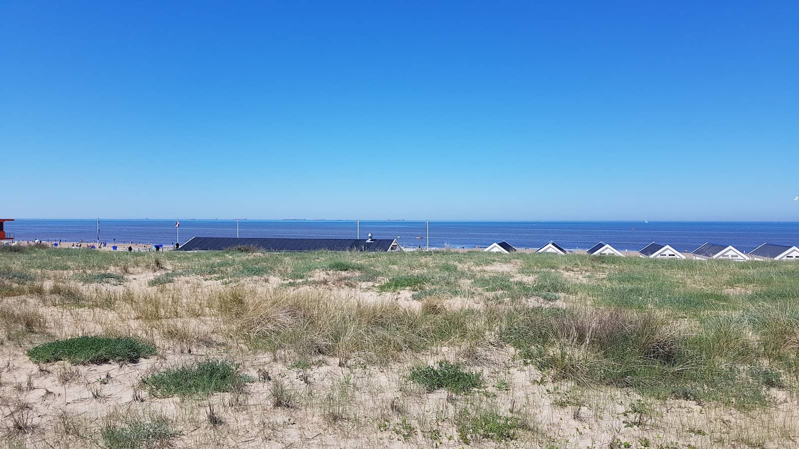 Local Cafes & Restaurants