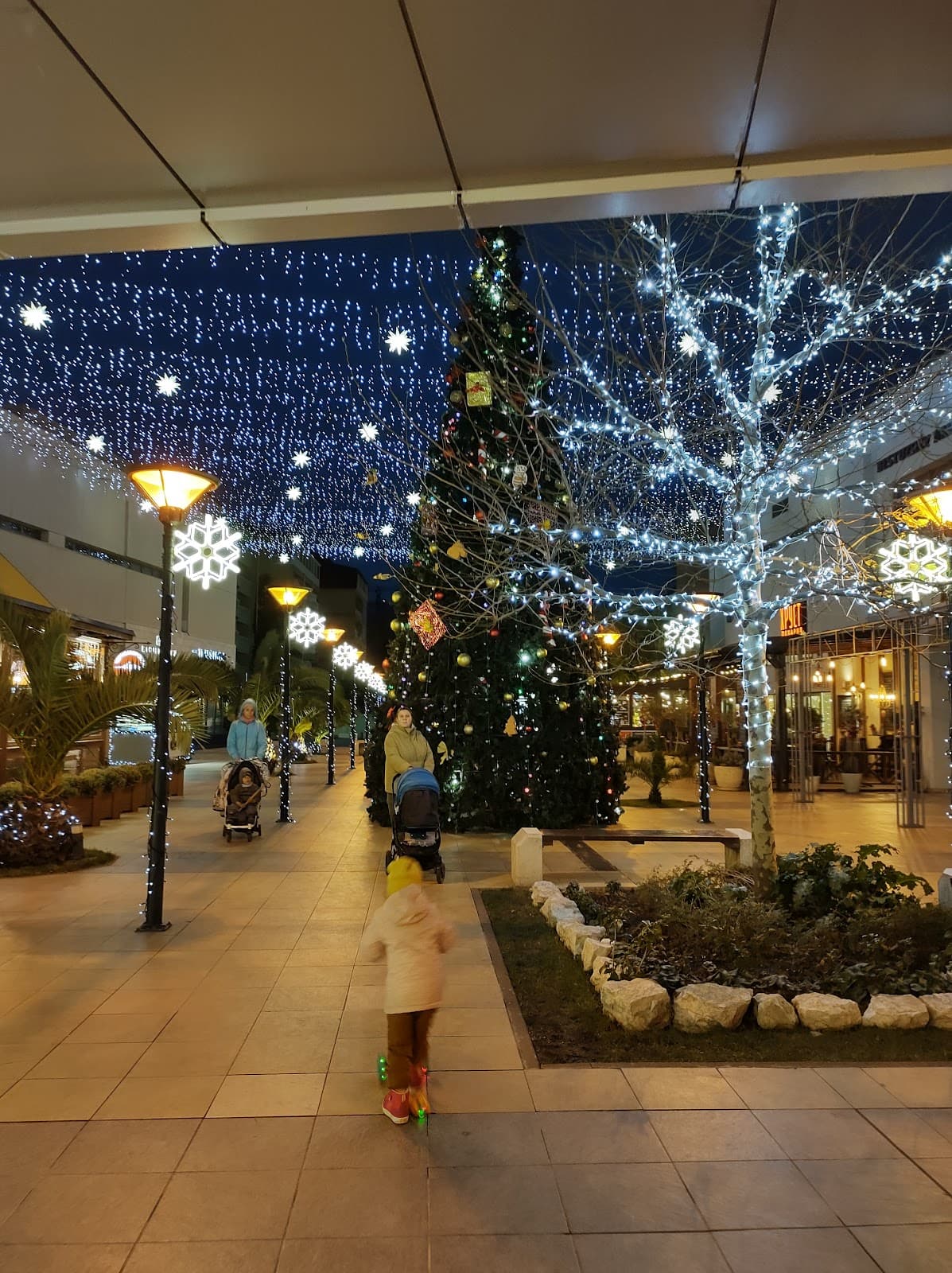 Mandarin Embankment - Image 1