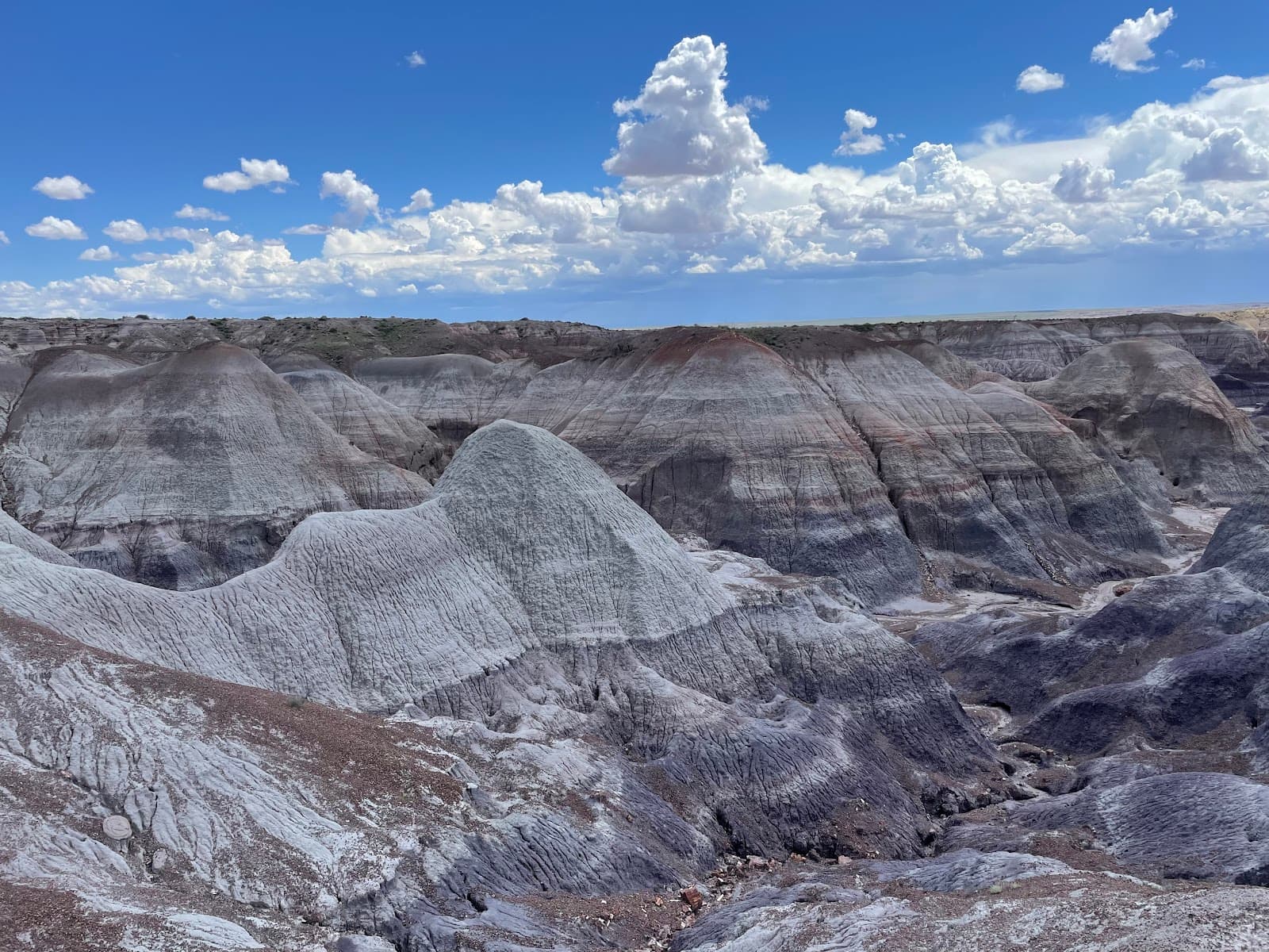 Blue Mesa Trail - Image 1