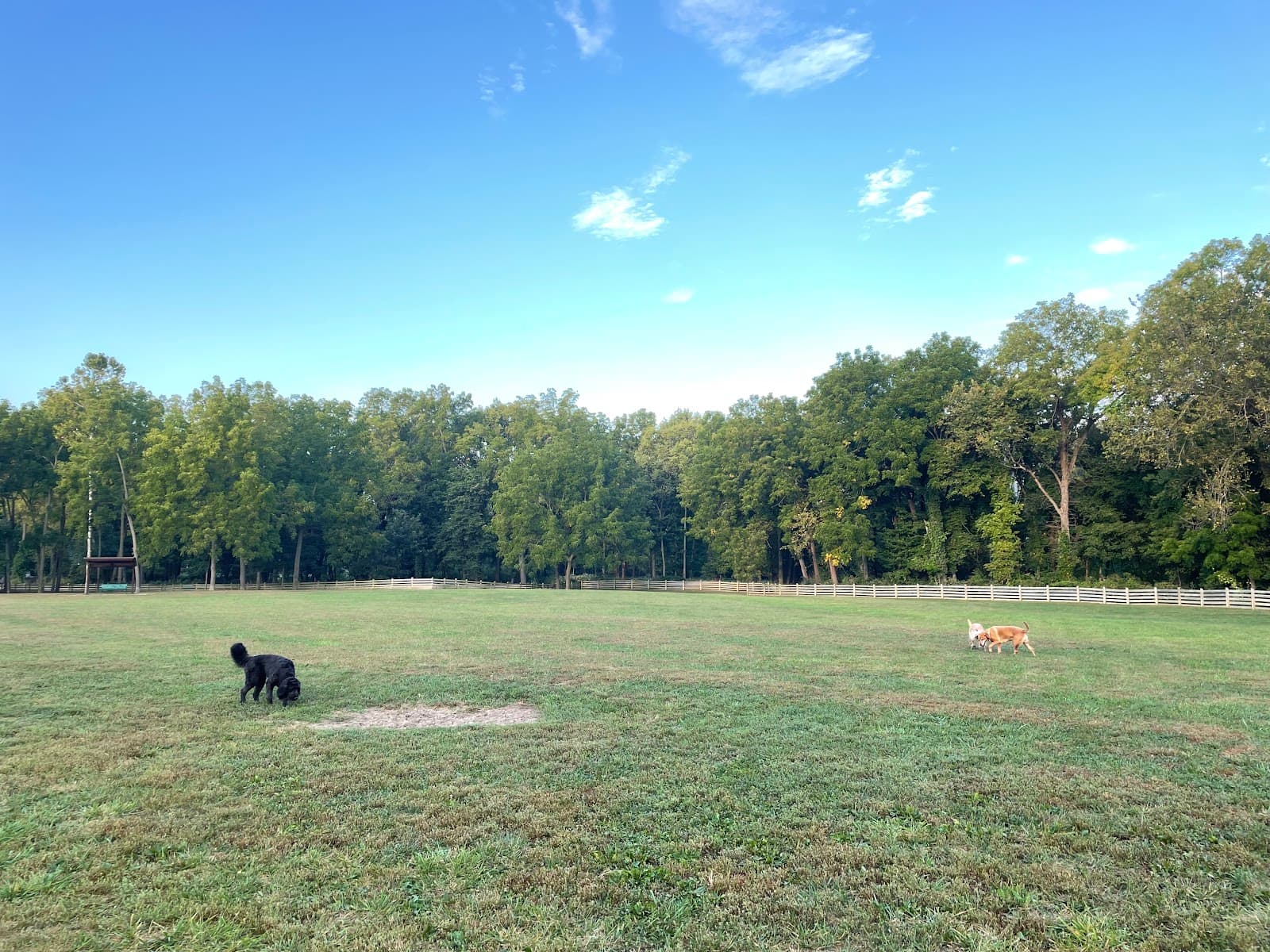 Leawoof Dog Park - Image 1