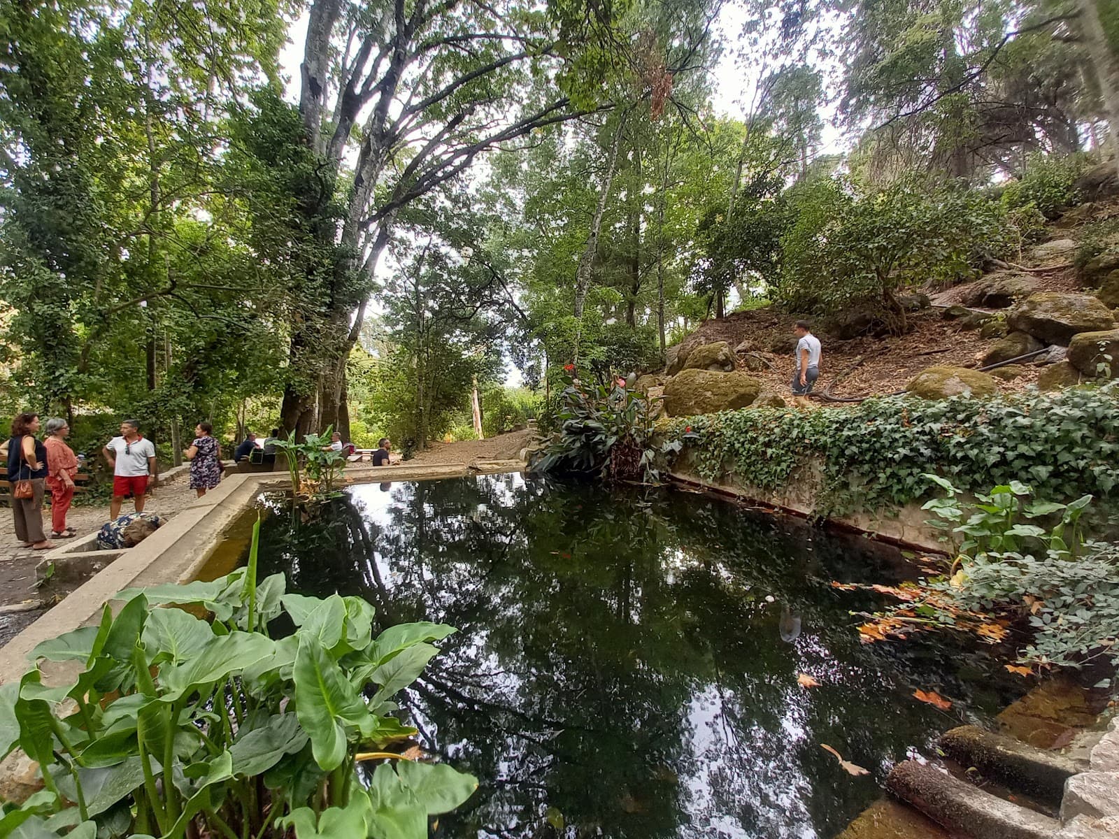 Caldas de Monchique - Image 1