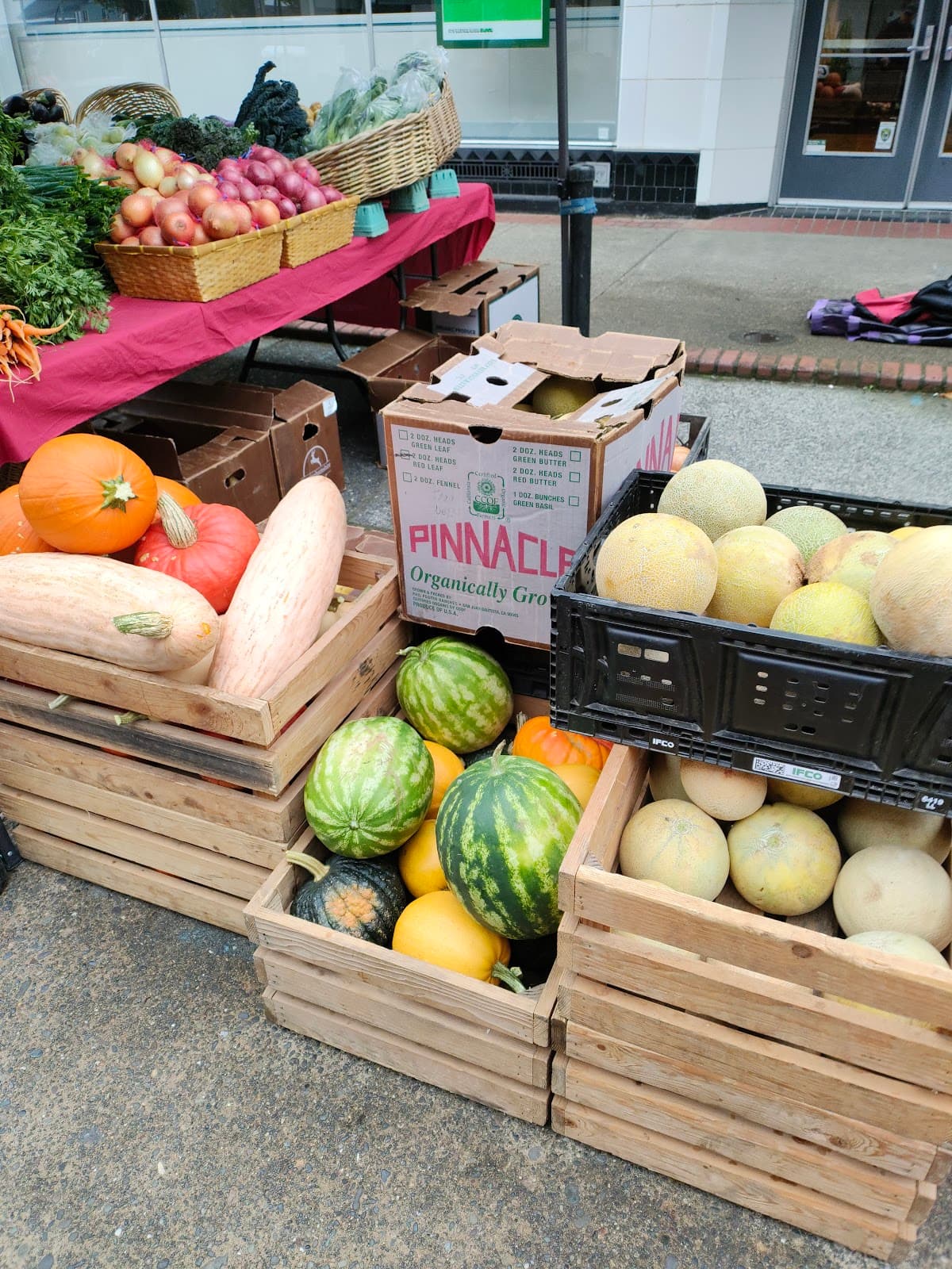 Coos Bay Farmers Market - Image 1