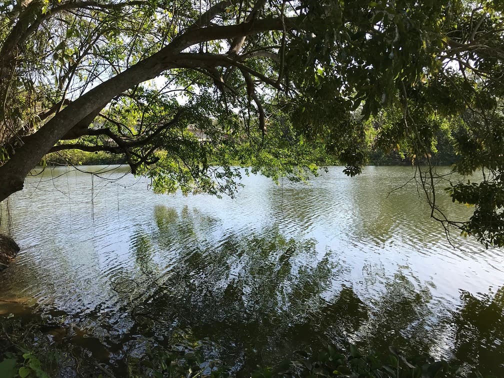 Río Cuyaguateje - Image 1