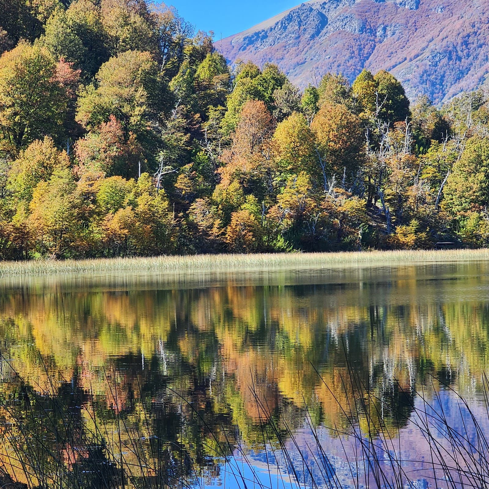 Mirador Lago Hermoso - Image 1