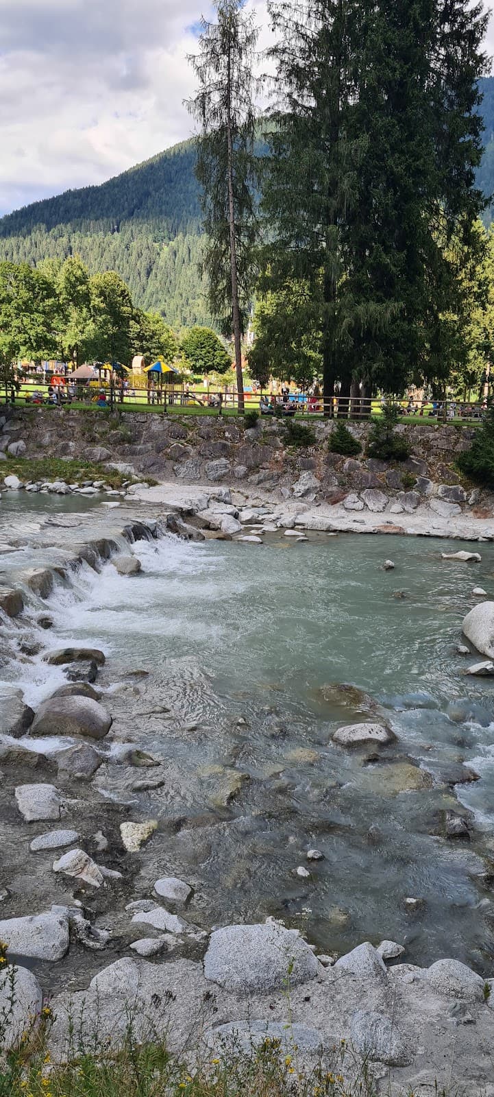 Pineta Park (Pinzolo) - Image 1