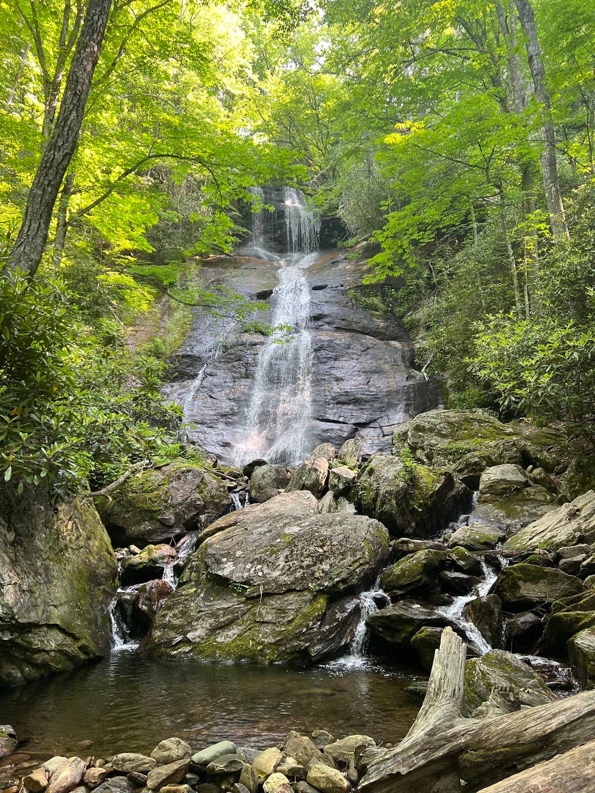 Forest Heritage Scenic Byway