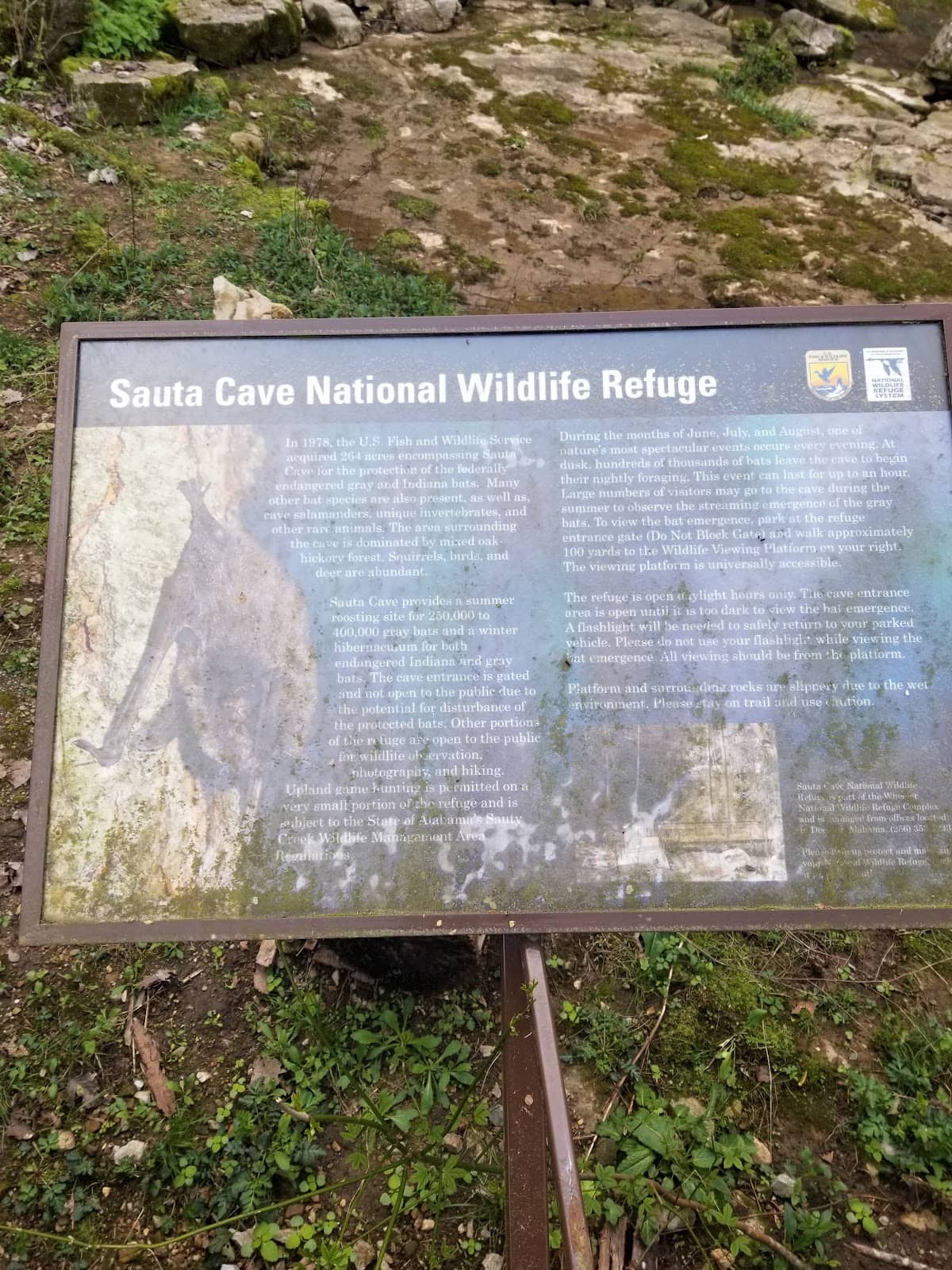 Nature Preserve Trails