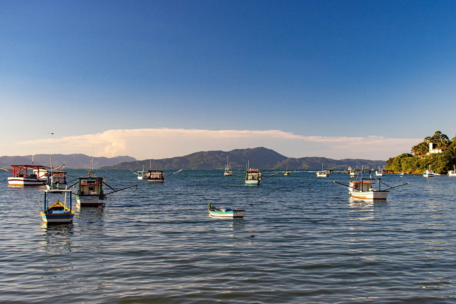 Local Cafes and Cakes