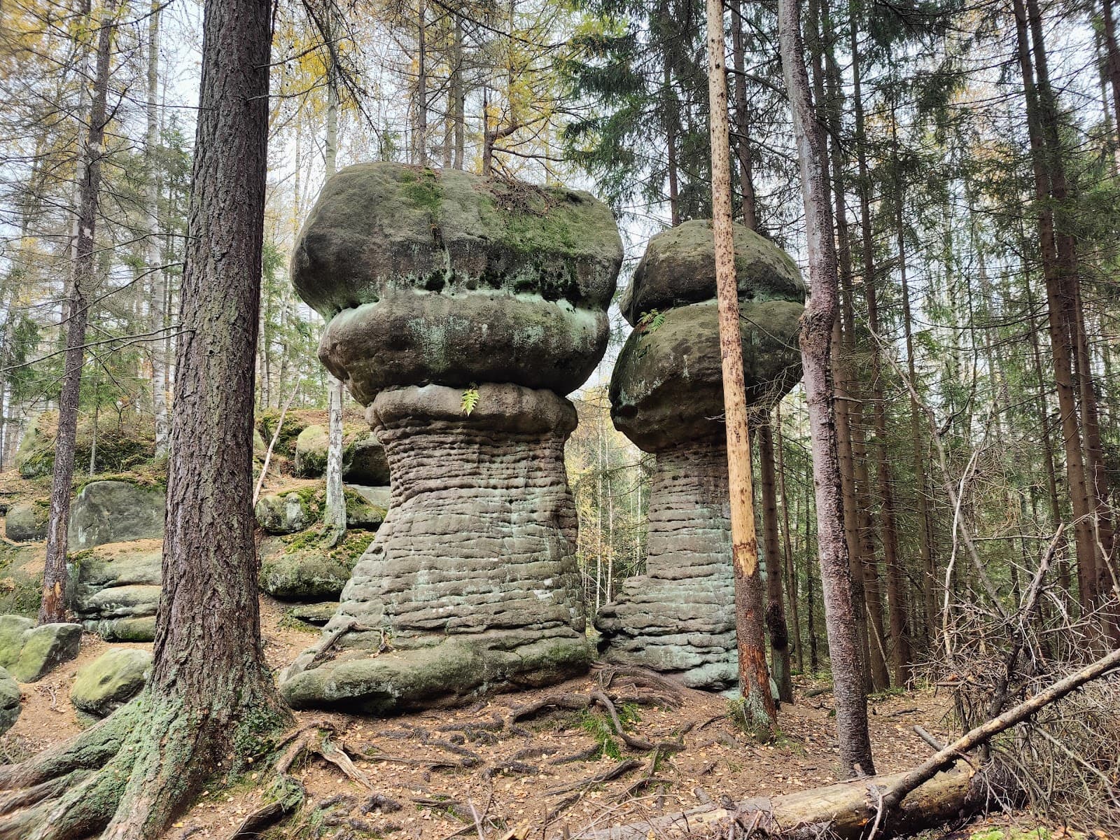 Skalne Grzyby (Rock Mushrooms) - Image 1