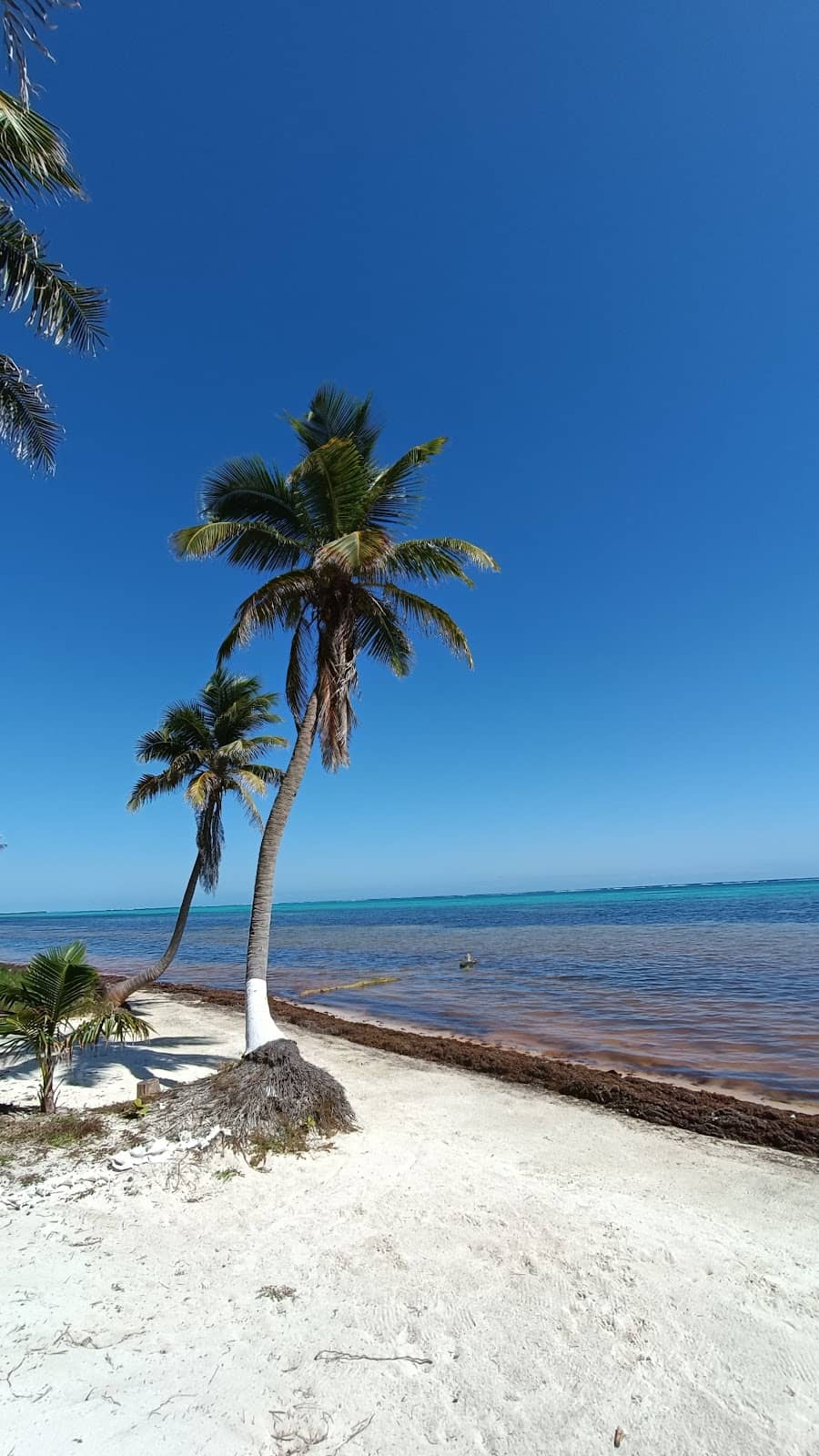 Tranquil Village Life