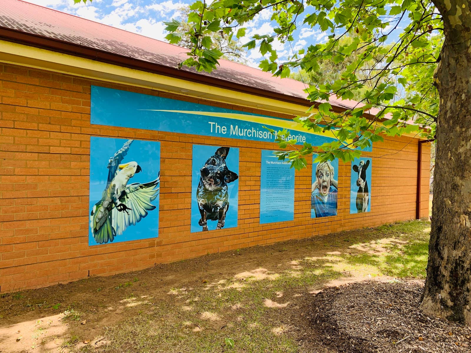 Riverside Picnic Spot