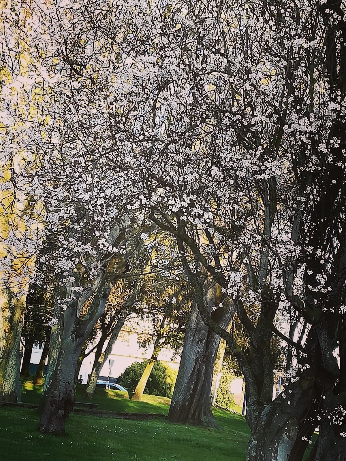 Paramé Saint-Malo - Image 1