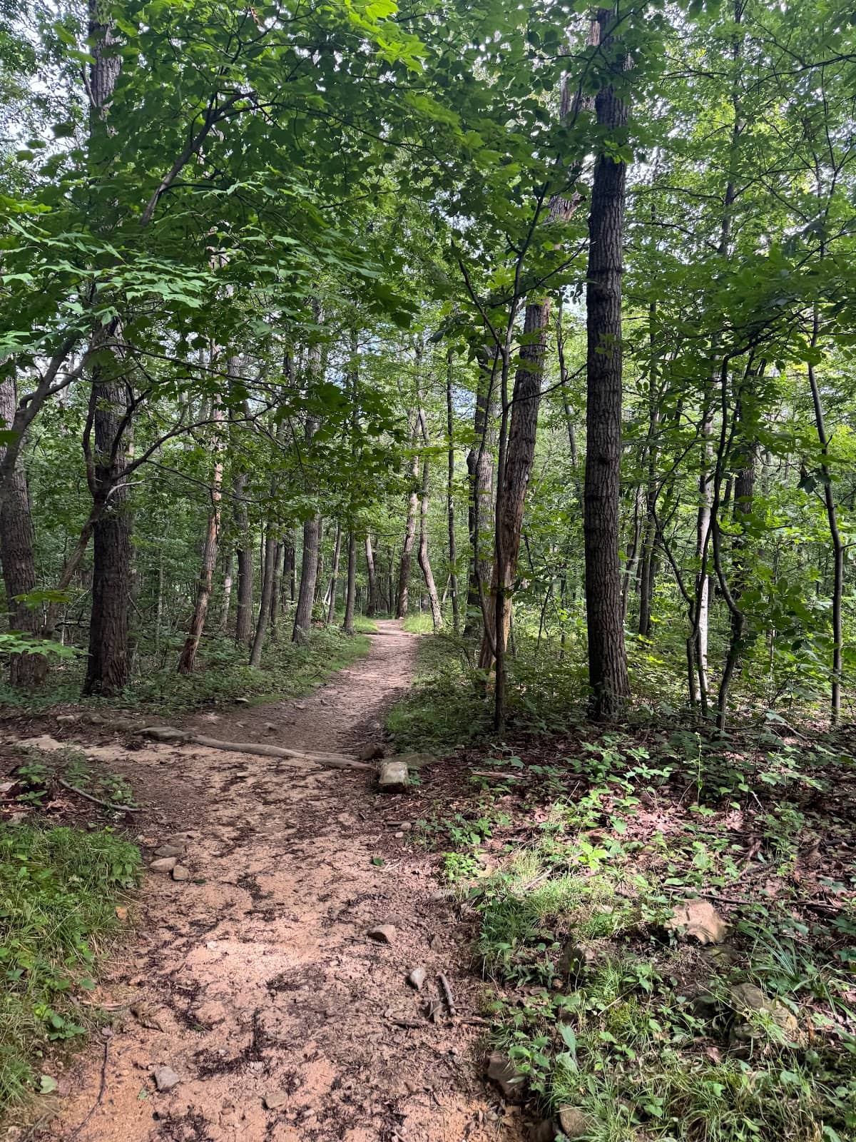 Appalachian Trail Section