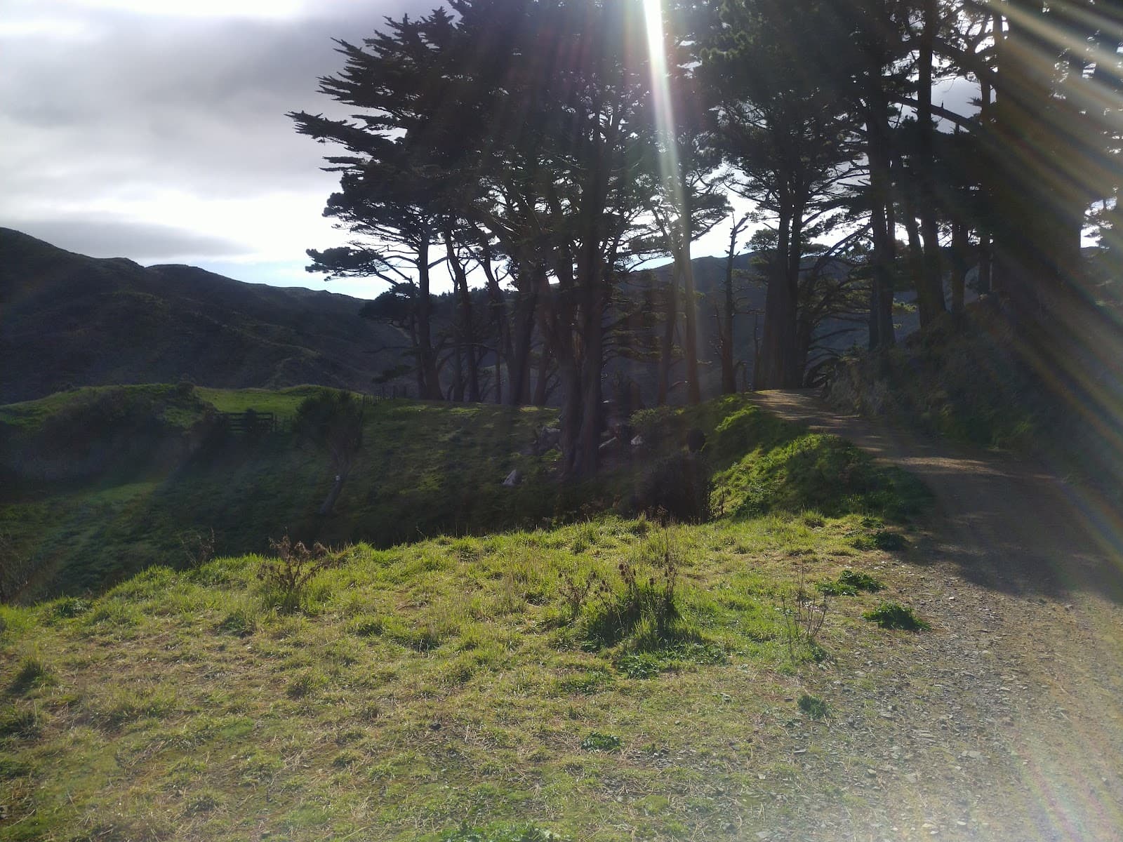 Skyline Walkway - Image 1