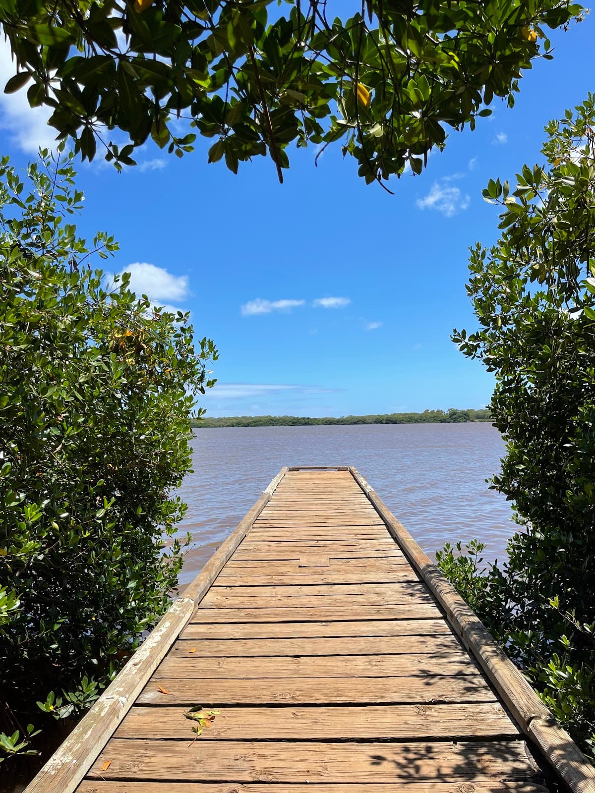 Kapapapuhi Point Park - Image 1