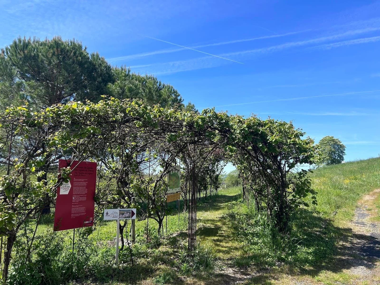 Maison des Vins de Bergerac et du Duras - Image 1